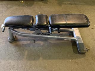 Life Fitness Adjustable Bench.