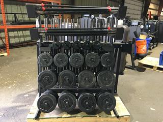 Weight Plate Rack w/ Weight Plates, Bars & Clips.