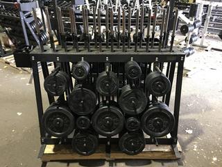 Weight Plate Rack w/ Weight Plates, Bars & Clips.