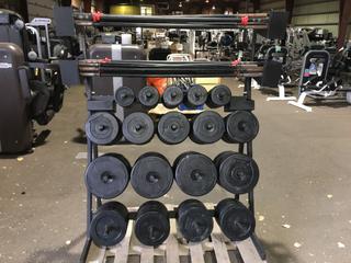 Weight Plate Rack w/ Weight Plates, Bars & Clips.