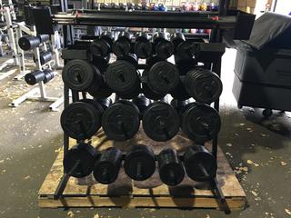 Weight Plate Rack w/ Weight Plates, Bars & Clips.