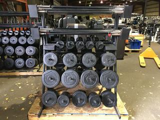 Weight Plate Rack w/ Weight Plates, Bars & Clips.