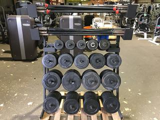 Weight Plate Rack w/ Weight Plates, Bars & Clips.