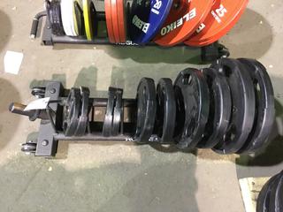 Rogue Horizontal Plate Rack w/ Assorted Weight Plates.