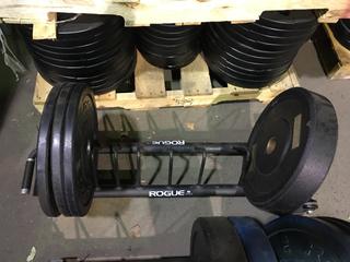Rogue Horizontal Plate Rack w/ Assorted Weight Plates.