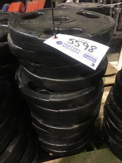 (12) 25lb Weight Plates.