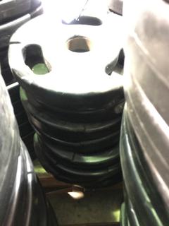(10) 10lb Weight Plates.
