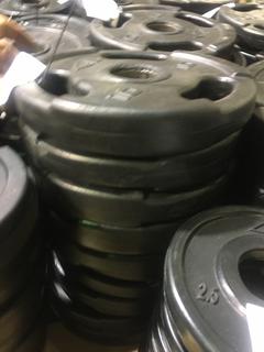 (10) 10lb Weight Plates.