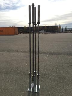 Barbell Holder w/ (4) Olympic Bars.