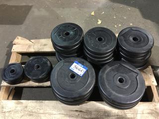 Assorted Weight Plates.