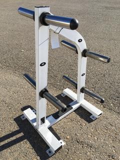 Hammer Strength Weight Plate Rack.