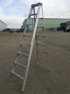 8' Aluminum Step Ladder.