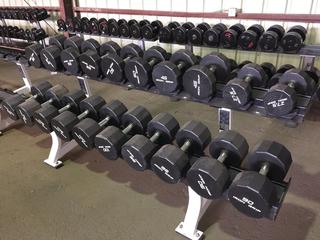 Hammer Strength Dumb Bell Rack w/ Iron Grip 27.5 lbs - 110 lbs Dumbbells.