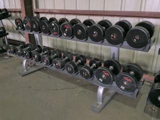 Life Fitness Dumbbell Rack w/ 30 lbs - 55 lbs Dumbbells.