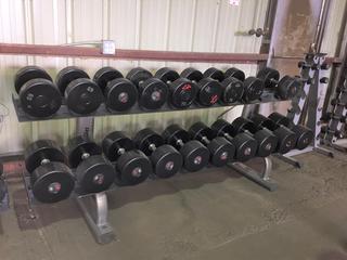 Life Fitness Dumbbell Rack w/ 60 lbs - 110 lbs Dumbbells, S/N 081102004650.