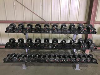 Hammer Strength Dumbbell Rack w/ 10lbs - 30lbs Dumbbell Set.