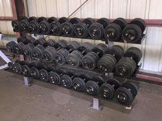 Hammer Strength Dumbbell Rack w/ IGX 15lbs - 115lbs Dumbbell Set.