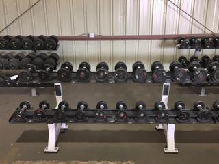 Hammer Strength Dumb Bell Rack w/ Iron Grip 5lbs - 17.5lbs Dumbbell Set.