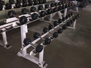 Apex Dumbbell Rack w/ Assorted 10lbs & 12lbs Dumbbells.