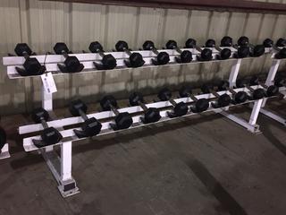 Apex Dumbbell Rack w/ Assorted 8lbs, 10lbs, 12lbs Dumbbells.