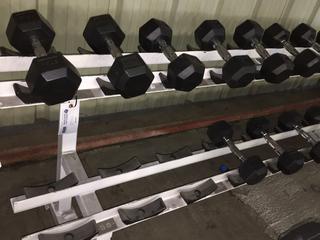 Apex Dumbbell Rack w/ York 12lbs - 20lbs Dumbbells.