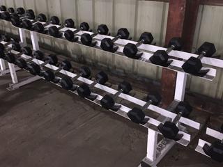 Apex Dumbbell Rack w/ 10lbs Dumbbells.