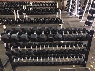 Dumbbell Rack w/ Dumbbells.