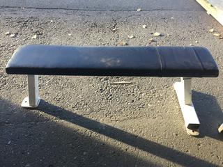 Pulse Fitness Flat Bench B101, S/N 0303518.