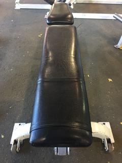 Life Fitness Adjustable Bench.