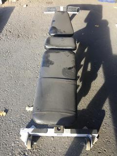 Hammer Strength Adustable Bench.