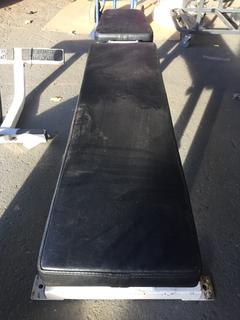 Adjustable Bench.