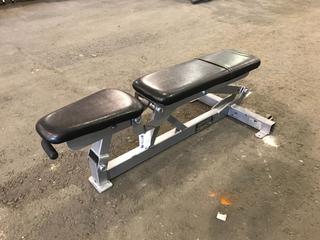 Hammer Strength Adustable Bench.