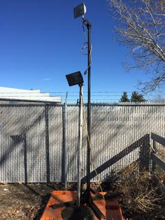 (2) Halogen Lights on Posts - 10' Post & 80" Post.