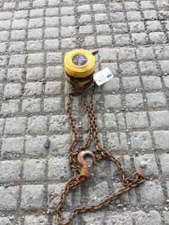 1 Ton Chain Hoist.