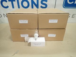 (80) Unused Chili Type Warm White LED Candle Light Bulbs, E12 Base, 3W, BHLED-CC03E12-WW (T-4-1)