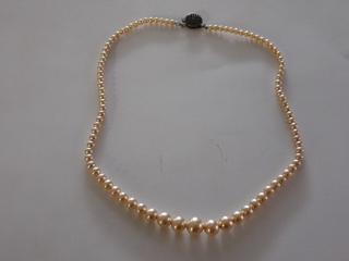 Approx. 15 In. Antique Clasp Necklace (Office)