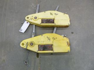 (2) Vanguard 3/4 Ton Turfer Hoists