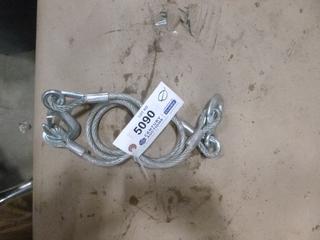 (2) 3 Ft. Cables with Hooks (C-1)