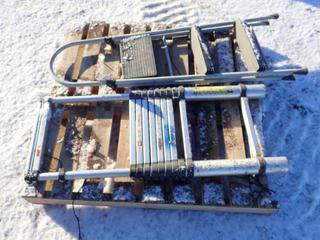 (1) Extendable Ladder, (1) Step Ladder