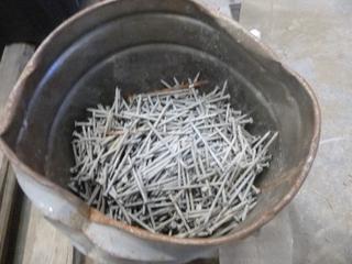 Pail of 3 1/4 In. Nails