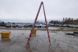 Louisville Step Ladder