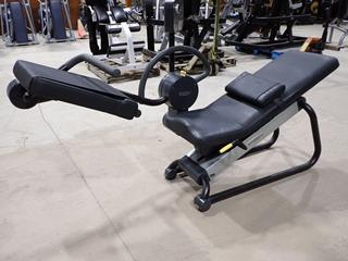 Techno Gym Flexibility Posterior, Tag # 09143.