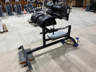 Sorinex Glute/Ham Developer.