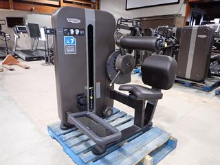 Techno Gym Lower Back Machine - 140lb, Model # MK58EHA, S/N 14000028.