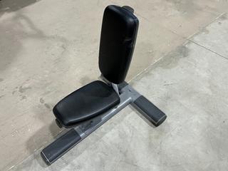 Life Fitness Utility Bench.