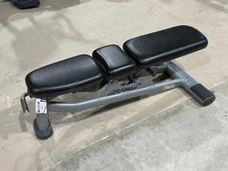 Life Fitness Adjustable Incline Bench.