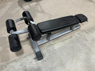 Life Fitness Adjustable Decline Bench.
