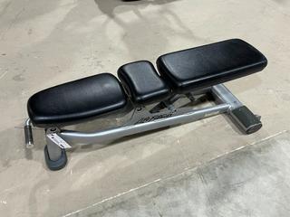 Life Fitness Adjustable Incline Bench.