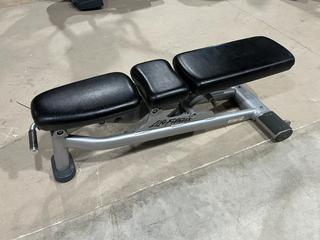 Life Fitness Adjustable Incline Bench.