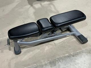 Life Fitness Adjustable Incline Bench.